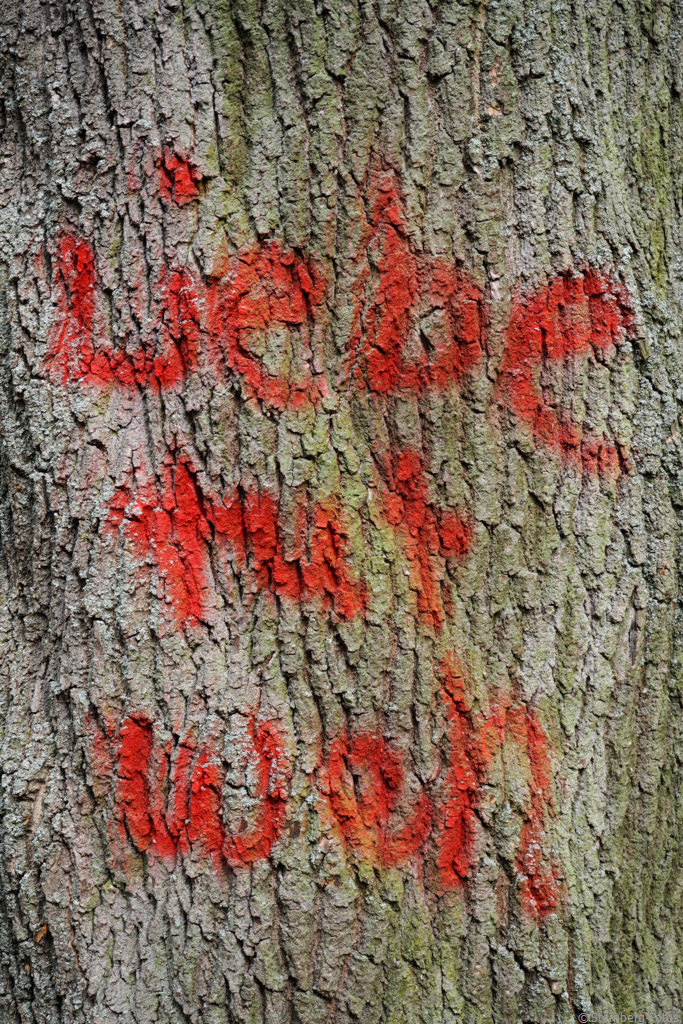 2105016, Frankfurt / Liebe tut weh