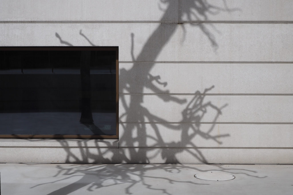 2105032, Frankfurt / Jüdisches Museum, Staab Architekten, 2020