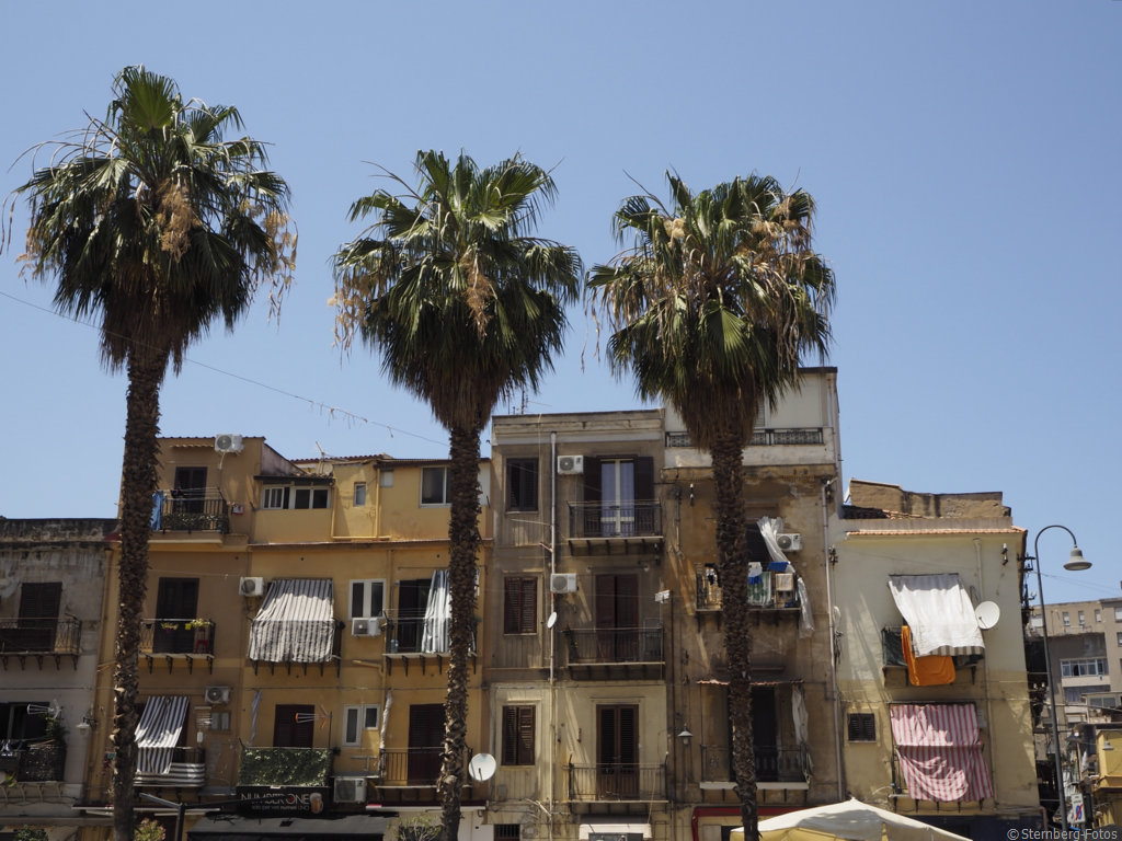 2405208, Palermo